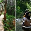 5 rừng tràm đẹp nhất miền Tây - 12