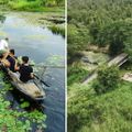 5 rừng tràm đẹp nhất miền Tây - 16