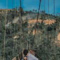 Ảnh trong bài