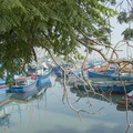 Về vùng “đất võ, trời văn” ngắm bức tranh quê mộc mạc - 18