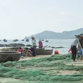 Về vùng “đất võ, trời văn” ngắm bức tranh quê mộc mạc - 17