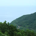 Chinh phục 