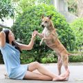 Choáng ngợp những bộ sưu tập thú cưng siêu đắt đỏ của đại gia Việt - 7