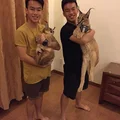 Choáng ngợp những bộ sưu tập thú cưng siêu đắt đỏ của đại gia Việt - 9