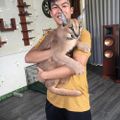 Choáng ngợp những bộ sưu tập thú cưng siêu đắt đỏ của đại gia Việt - 10