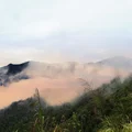 Ảnh trong bài