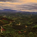 Ảnh trong bài