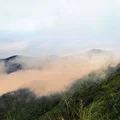 Ảnh trong bài