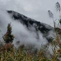 Ảnh trong bài