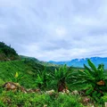 Ảnh trong bài