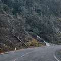 Ảnh trong bài