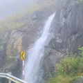 Ảnh trong bài