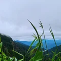 Ảnh trong bài