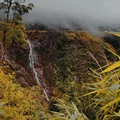 Ảnh trong bài