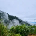 Ảnh trong bài