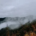 Ảnh trong bài