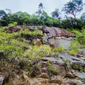 Ảnh trong bài
