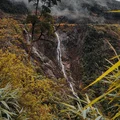 Ảnh trong bài