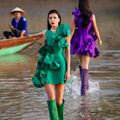 Ảnh trong bài