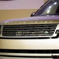 Ảnh trong bài