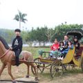 Ảnh trong bài