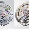 Rolex Daytona 126500LN