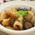 hải-sâm-ivivu