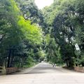tour-nhat-ban-5n4d-ivivu-17