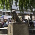 tour-nhat-ban-5n4d-ivivu-19