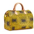 LV Speedy Bag