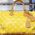LV Speedy Bag