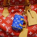LV Speedy Bag
