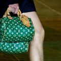 LV Speedy Bag