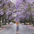 Australia-ivivu-8