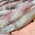 đặc-sản-nam-du-ivivu798