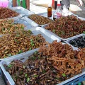 Món ăn từ côn trùng-ivivu
