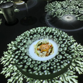 Ẩm thực cao cấp (Fine Dining) có sức hút gì?