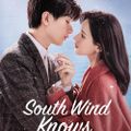 Phim mới của Thành Nghị: Gió Nam hiểu lòng tôi – South Wind Knows (2023)