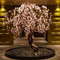 Regent Seven Seas Cruises