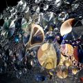 Triển lãm “Iris van Herpen: Sculpting the Senses” ở bảo tàng Pháp
