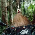 Khám phá rừng lim bằng xe ATV