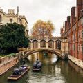 Ảnh: @cambridgelittlegems