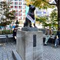 Tượng chú chó Hachiko tại quảng trường ở giao lộ Shibuya. Ảnh: @eerinhacampos.