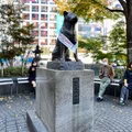 Tượng chú chó Hachiko tại quảng trường ở giao lộ Shibuya. Ảnh: @eerinhacampos.