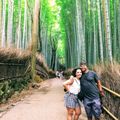 Rừng tre Arashiyama ivivu 2
