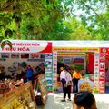 23-04-27-thanh-hoa-le-hoi-den-le-hoan-6-3.jpg