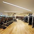 Phòng gym.