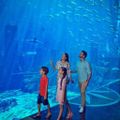 Atlantis The Palm Dubai ivivu 23