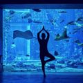 Atlantis -The- Palm- Dubai-ivivu-5