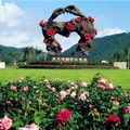 Thung lũng Hoa hồng.